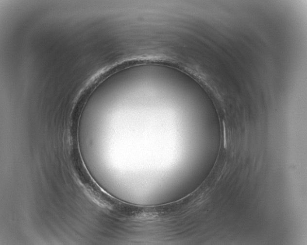 X0000080190252200612081207