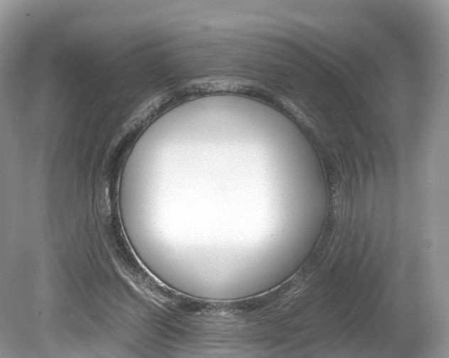 X0000080190254200612081207