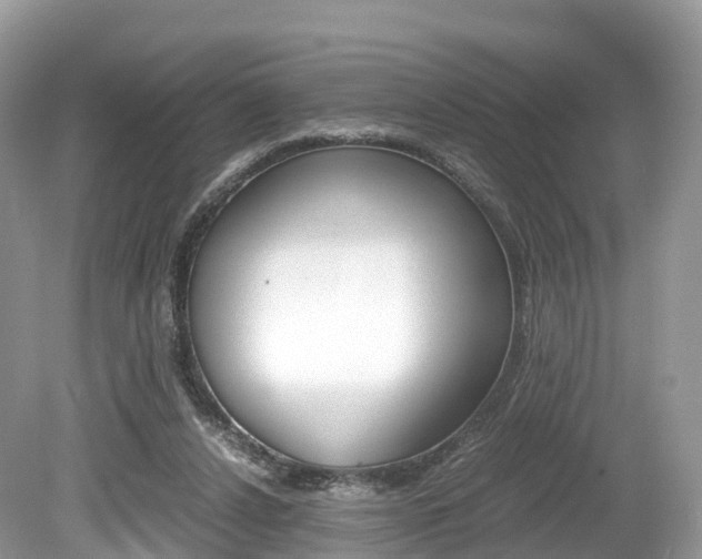 X0000080190256200612081207