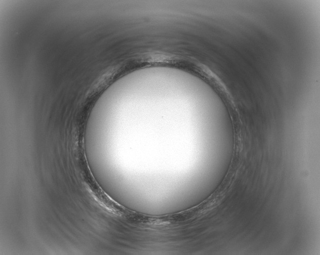 X0000080190257200612081207