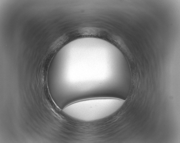 X0000080190261200612081207
