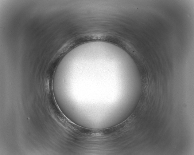 X0000080190262200612081207