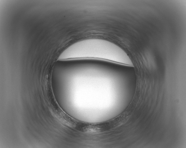X0000080190263200612081207