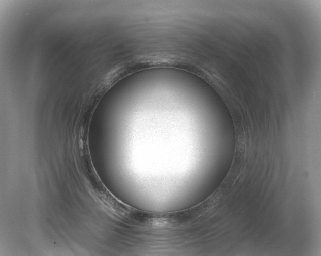 X0000080190264200612081207
