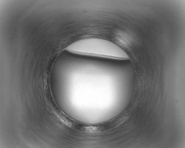X0000080190265200612081208