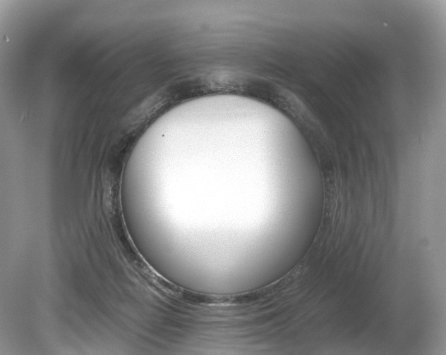 X0000080190266200612081208