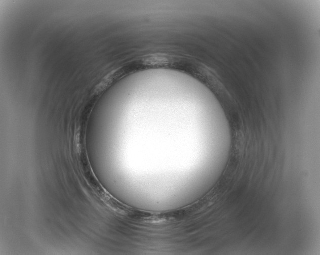 X0000080190267200612081208