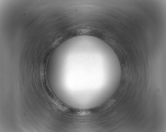 X0000080190274200612081208