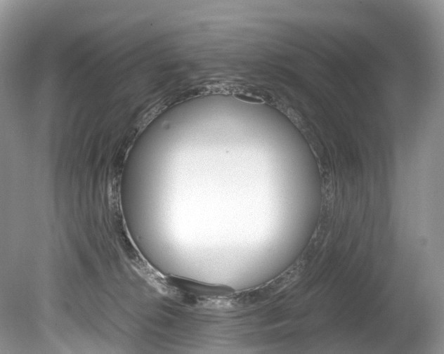 X0000080190276200612081208