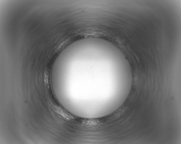 X0000080190282200612081208