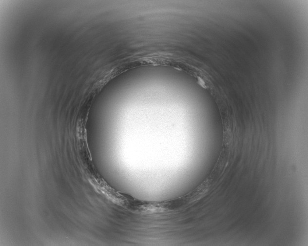 X0000080190284200612081208