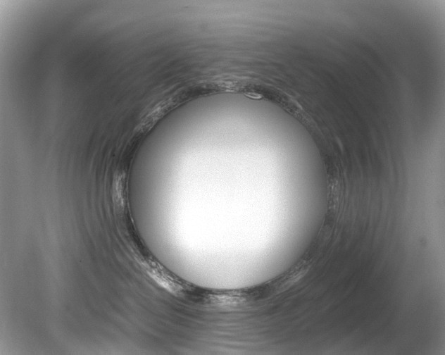 X0000080190286200612081208