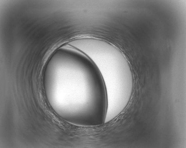 X0000080190289200612081207