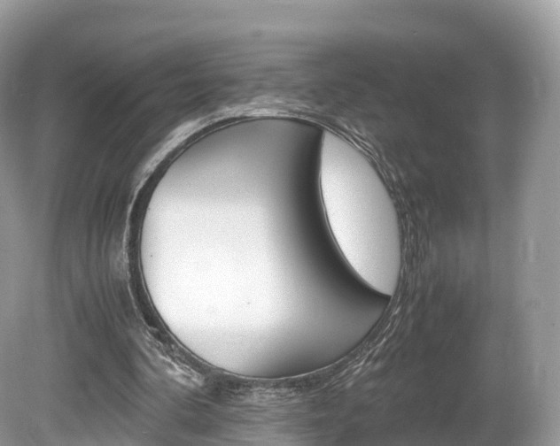 X0000080190292200612081207