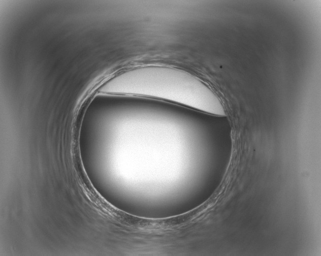 X0000080190293200612081207