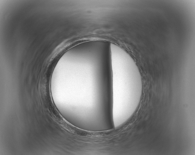 X0000080190295200612081207