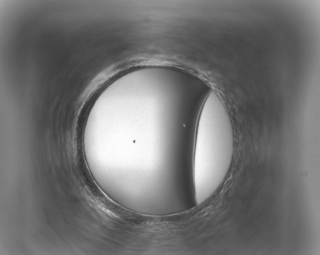 X0000080190296200612081207