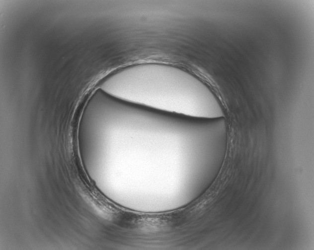 X0000080190298200612081207
