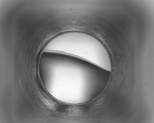 X0000080190299200612081207