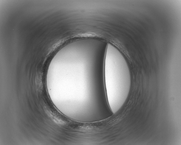 X0000080190300200612081207