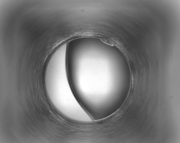 X0000080190301200612081207