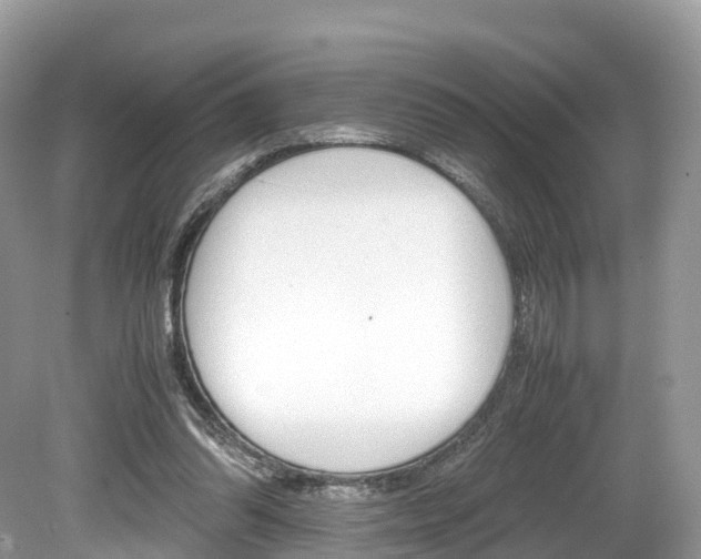 X0000080190302200612081207