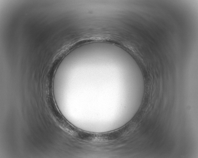 X0000080190303200612081207