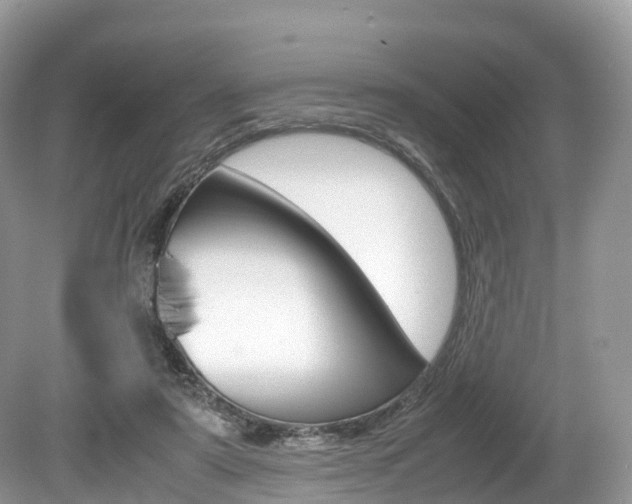 X0000080190307200612081207