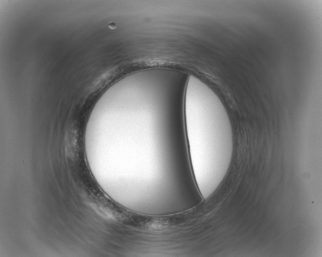 X0000080190308200612081207