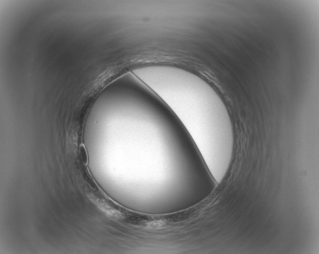 X0000080190309200612081207