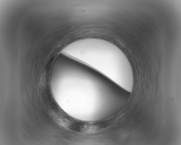X0000080190311200612081207