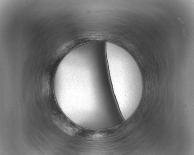 X0000080190312200612081207