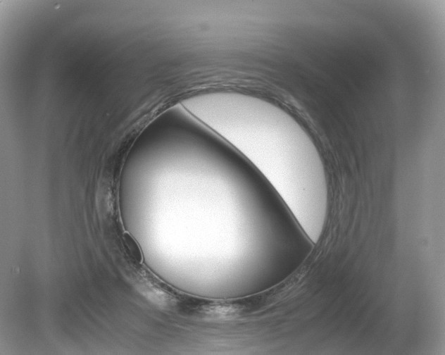 X0000080190313200612081207