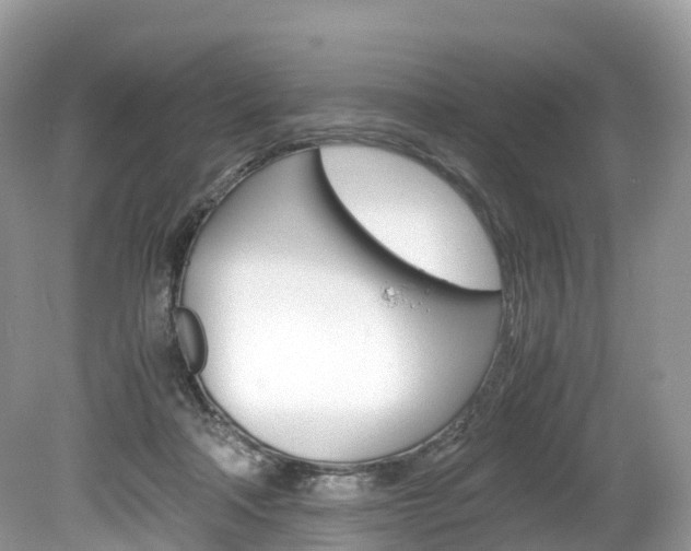 X0000080190314200612081207
