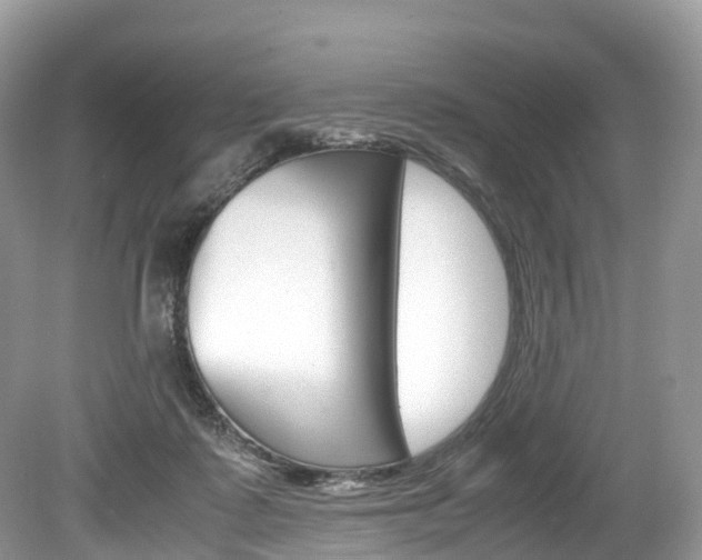 X0000080190315200612081207