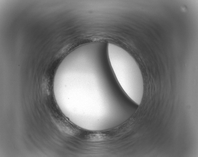 X0000080190316200612081207