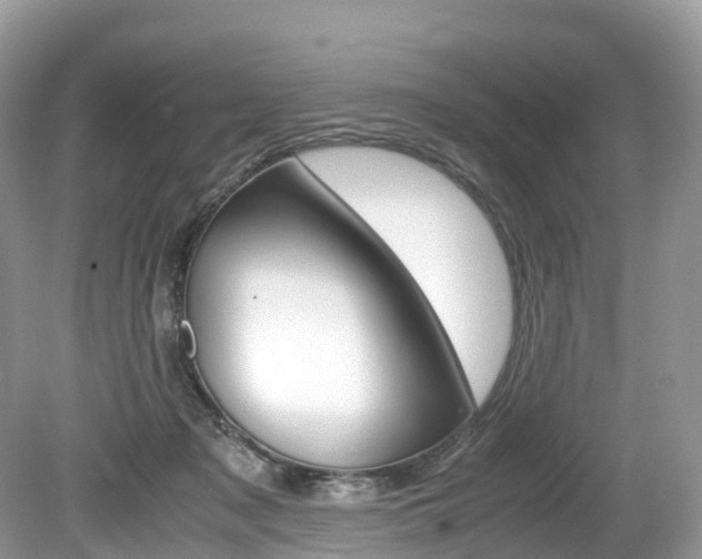 X0000080190317200612081207