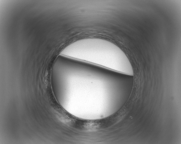X0000080190319200612081207