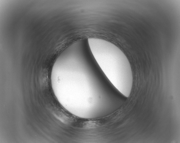 X0000080190320200612081207