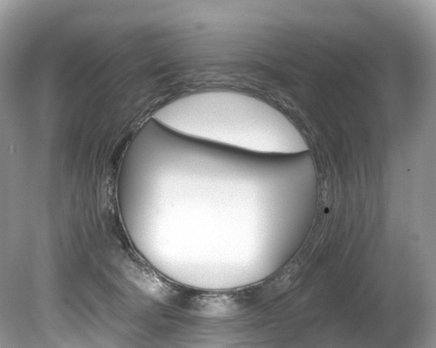 X0000080190322200612081207