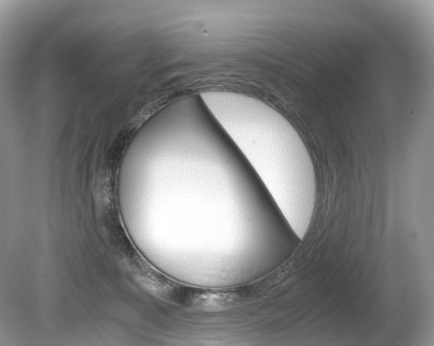 X0000080190323200612081207