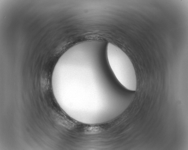 X0000080190324200612081206
