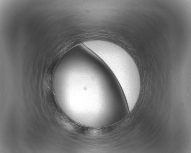 X0000080190325200612081206