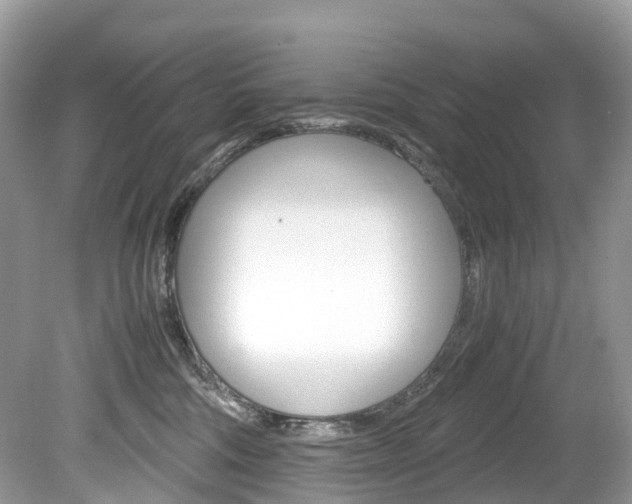 X0000080190330200612081206
