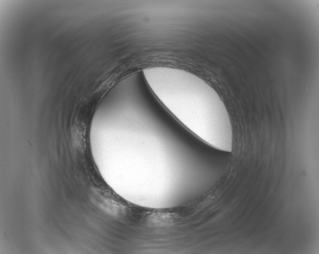 X0000080190332200612081206