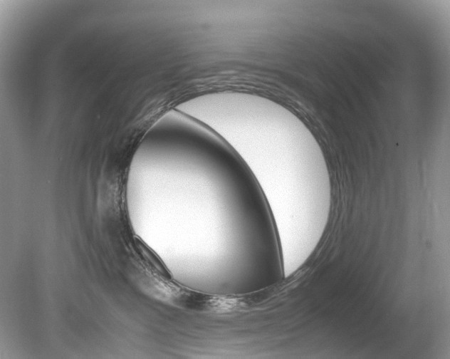 X0000080190333200612081206