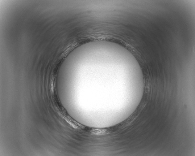 X0000080190334200612081206