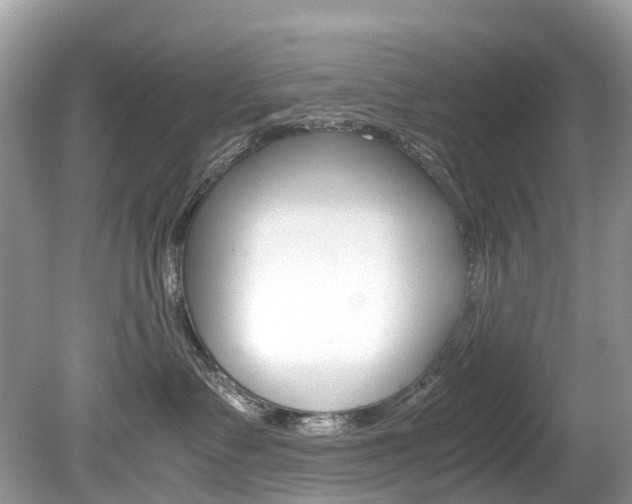 X0000080190335200612081206