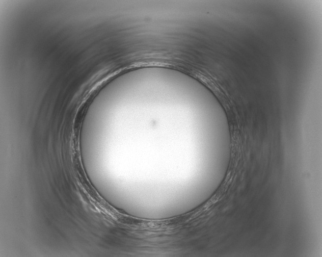 X0000080190338200612081205
