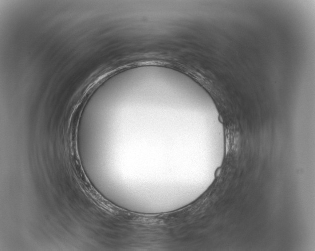 X0000080190339200612081206